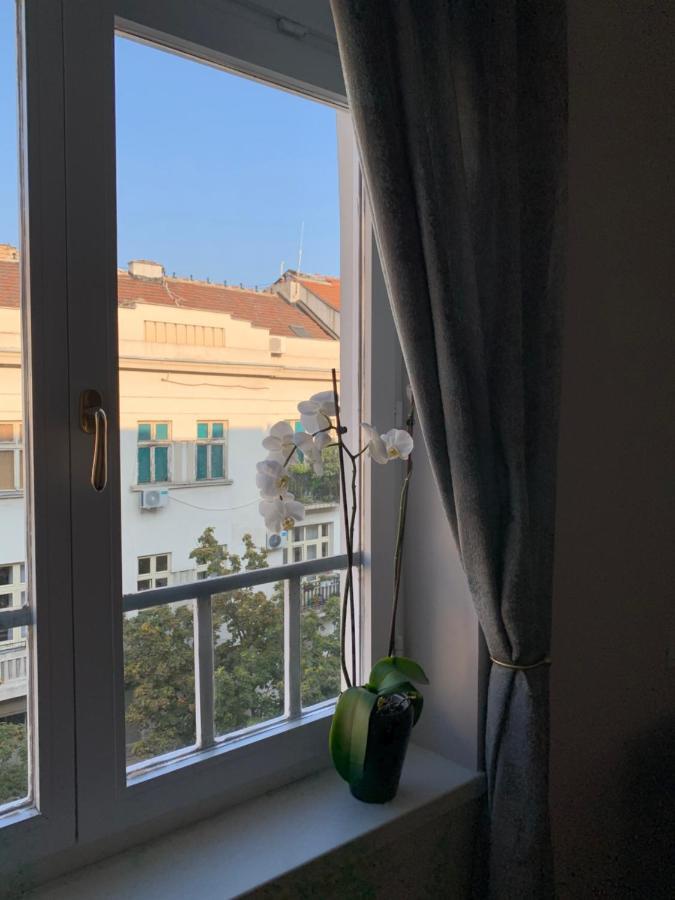 Dragonfly Residence Βελιγράδι Εξωτερικό φωτογραφία