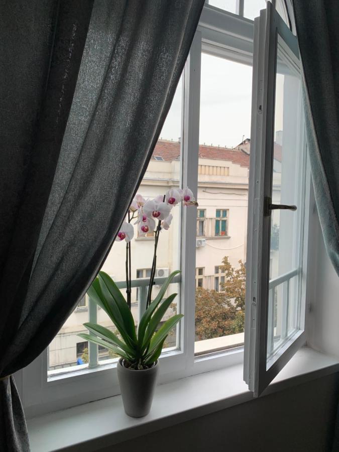 Dragonfly Residence Βελιγράδι Εξωτερικό φωτογραφία